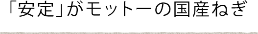 安定がモットーの国産ねぎ