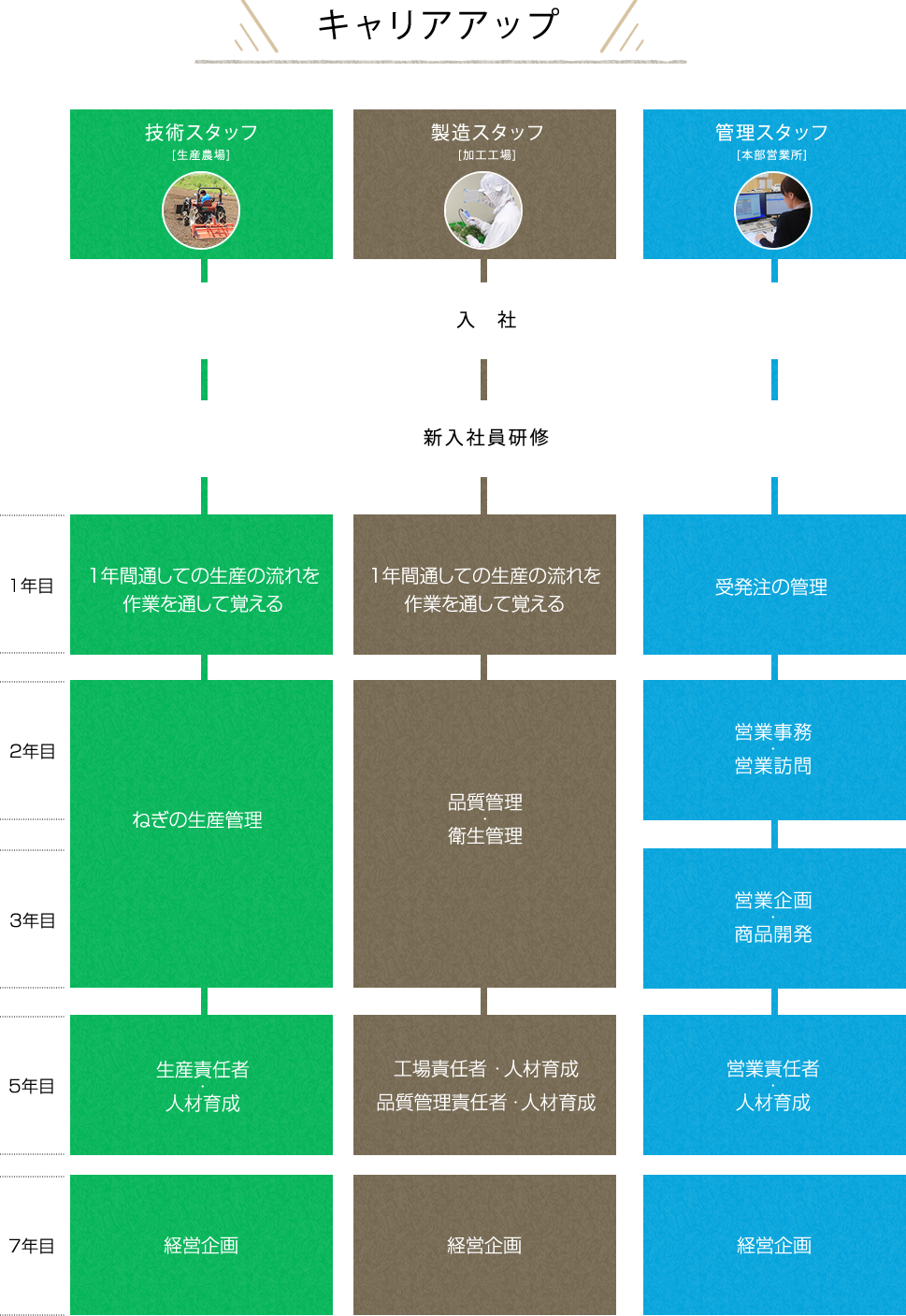 春口農園 キャリアップ流れ