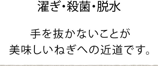 春口農園 濯ぎ・殺菌・脱水