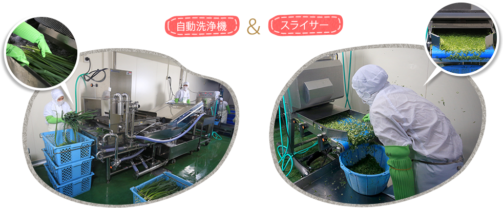 洗浄カット風景