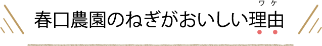 春口農園 ねぎが美味しい理由