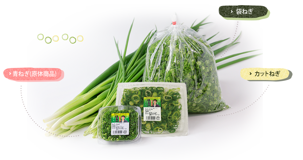 春口農園 商品紹介