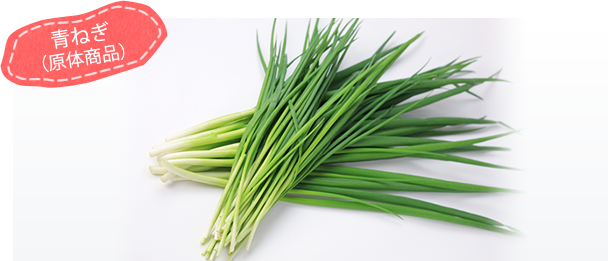 カットねぎ