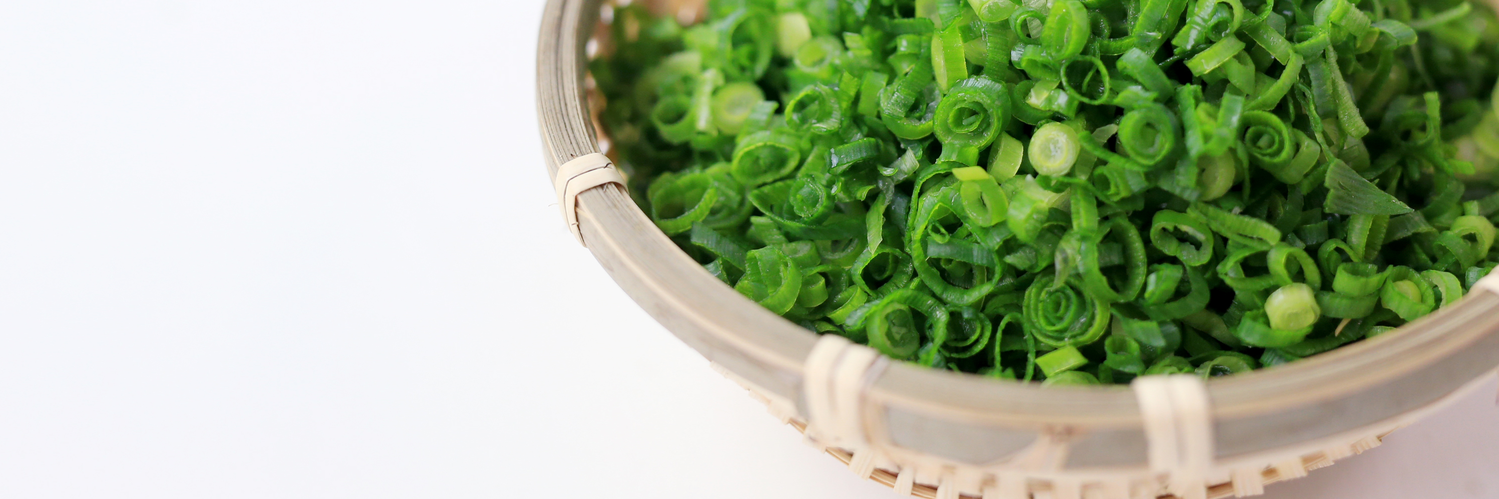 プライバシーポリシー