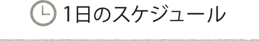春口農園 1日のスケジュール