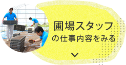 春口農園の圃場での仕事内容