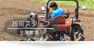 春口農園 技術スタッフ