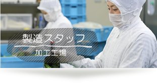 春口農園 製造スタッフ